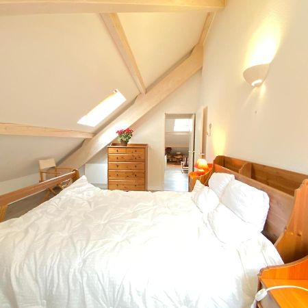 Place De La Mairie T2 Type Loft 70M2 Terrasse 35M2 Cauterets Eksteriør billede